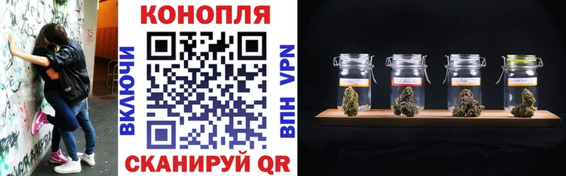 A PVP Шатура