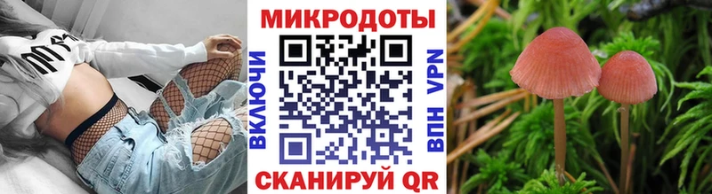 Галлюциногенные грибы мухоморы  Шатура 